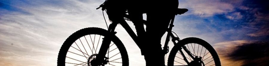 How to choose a dirt bike for any skill level