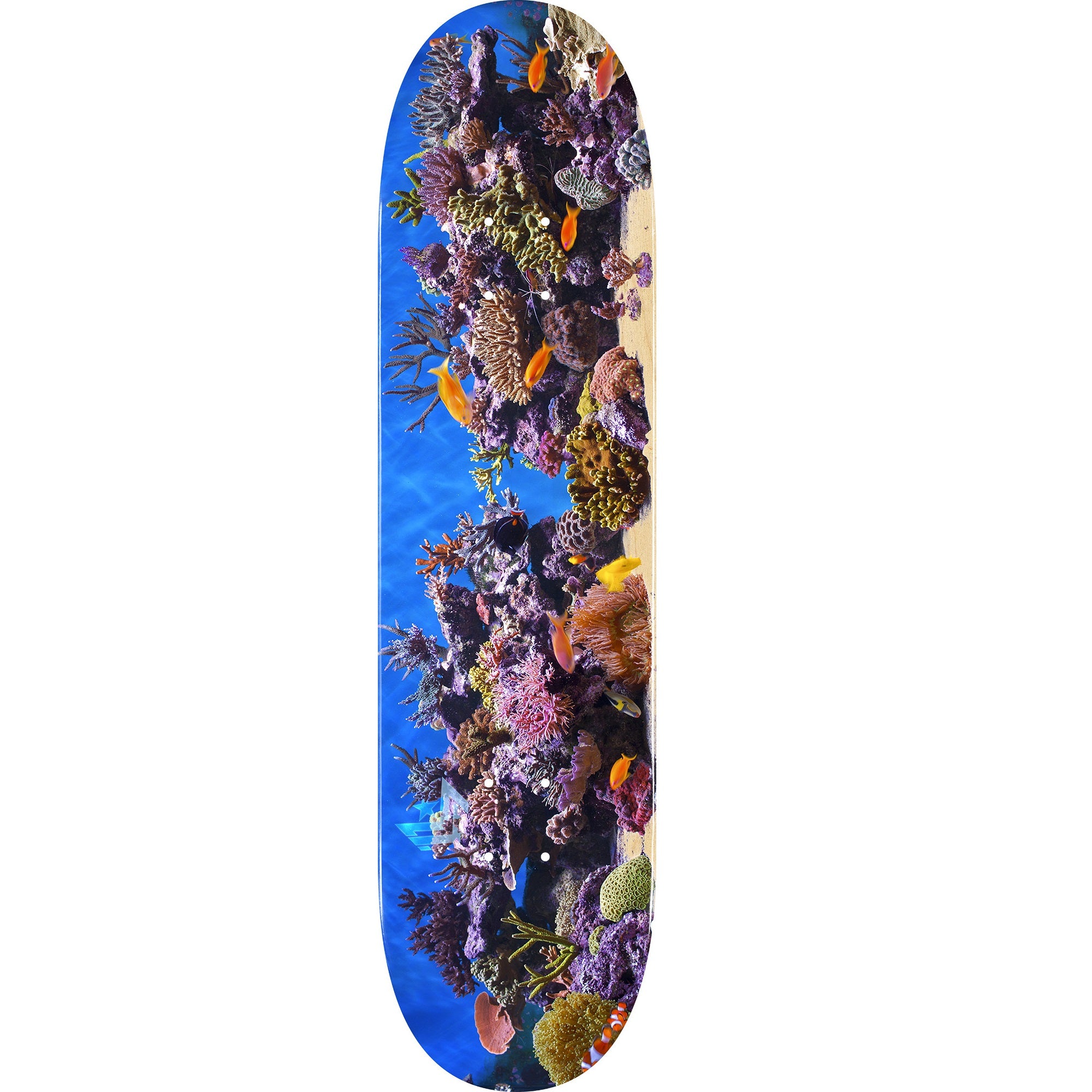 Tabla de skate Mini Logo Fish Tank ″18″ 242 - 8.0″