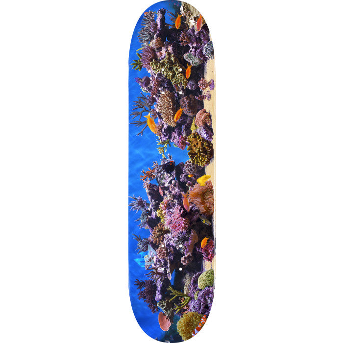 Tabla de skate Mini Logo Fish Tank ″18″ 243 - 8,25″